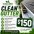 Gutter Cleaning